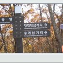 한울타리민박 이미지