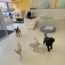 시흥대로41길 이미지