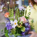 컨포지움 이미지