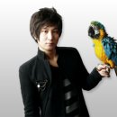 빨간너구리 이미지