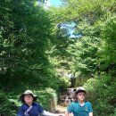 금강여관 | 백제의 사찰, 덕숭산 수덕사와 일주문과 이웃한 수덕여관 이야기