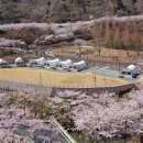 월아산 숲속의 진주(목공체험장) 이미지
