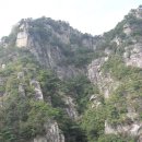 김성수행정사 이미지