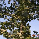 천상 농장 이미지