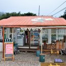 울릉도 알프스 이미지