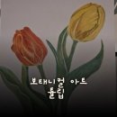 색연필로 쉽게 그리는 보타니컬아트 | (초급)색연필로 그리는 보태니컬 아트 쉽게 하기 튤립 기록