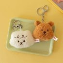 버디버디A 이미지