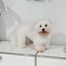 반야시스터 이미지