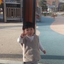 함열원광어린이집 Daum카페