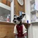 더사랑할개 이미지