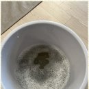 대구정성클린 네이버블로그