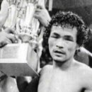 코브라 권투 체육관 이미지