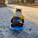 상희농장 | 2026년 1월 일상 / 내 목표는 미루지 않기