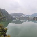 단양쏘가리 이미지