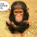 신창국밥 이미지