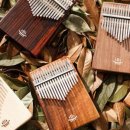 칼림바 초급 이미지