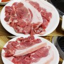 삼원농장 1 네이버블로그