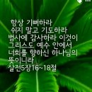 민수기 14 이미지