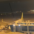 (2024.01.31~2024.02.04) 필리핀 세부 가족여행 이미지