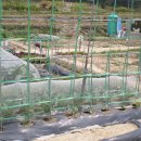 아벨농장 이미지