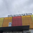 신중앙시장 | 마포농수산물시장 꽃게 찌는법 집에서 쪄먹었던 신중앙시장 구매 후기