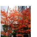 이젤 이미지