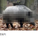 양덕동279 이미지