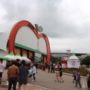 [전북/장수] 빨강빨강, 2018 장수 한우랑 사과랑 축제