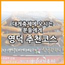 대게축제 먼곳에서 오시는 분들께 추천코스