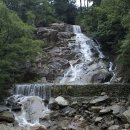 내일 | 관악산 우중산행_몽환적 운무 속에서 다시 만나는 불성사 호랑이