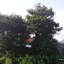 용호리 경로당 이미지