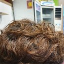 세류동미영아파트 이미지