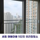 대전 세종 창문청소 추천업체 닥터윈도우 방충망 청소까지 완벽하게 (feat.세종 해들마을5단지)