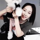 밤새다방 Daum카페