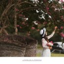 예쁘다 경주 이미지