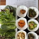 정원뜰 | 청주 짜글이 맛집 정원뜰 쌈 채소 푸짐한 점심 후기