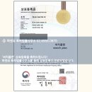 써치플랜