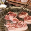 빽돈
