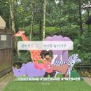 에버썬 | 에버랜드 초2 아이랑 놀이기구 티익스프레스 후기