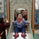 단이슬어린이집 이미지