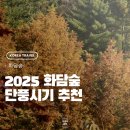 숲실제3농로 | [공지] 2025 화담숲 단풍축제 절정 시기에 예약하고 실시간 다녀온 후기