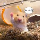 잘 가 ,,, 2024 🥹