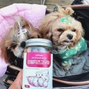 드럭스토어동행약국 이미지