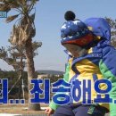 농비어천가 이미지