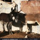 주식회사 일군산업 이미지