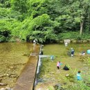 남천1리 솔밭공원 이미지