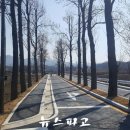 신성1리 뉴스파고