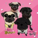 캐릭터그리기 이미지