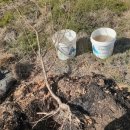 내척농장 이미지