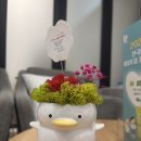 아미고통합놀이치료심리상담센터 | 성동구심리상담 아이니스, 아들과 직접 다녀온 현실 후기